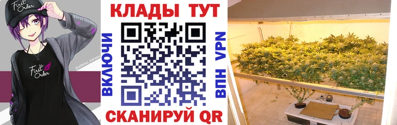 Как найти закладки Клин Каннабис Галлюциногенные грибы ГАШИШ